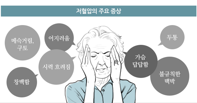 저혈압 개선을 위한 음식 10가지 – 원인, 증상 관리법