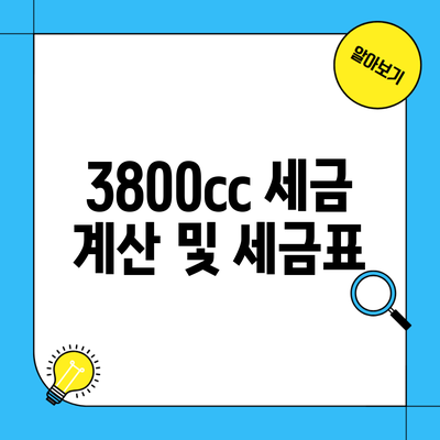 3800cc 세금 계산 및 세금표