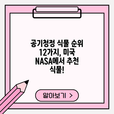 공기청정 식물 순위 12가지, 미국 NASA에서 추천 식물!