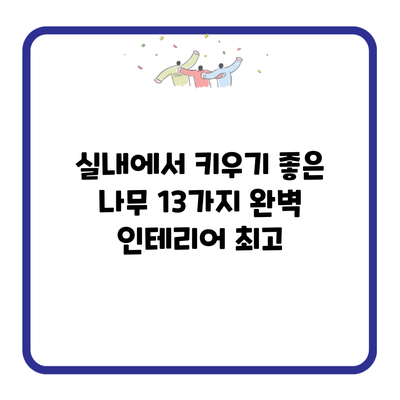 실내에서 키우기 좋은 나무 13가지 완벽 인테리어 최고