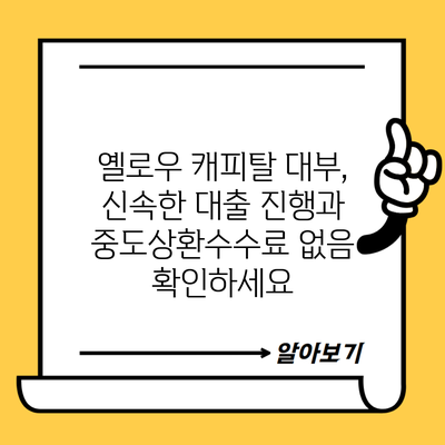 옐로우 캐피탈 대부, 신속한 대출 진행과 중도상환수수료 없음 확인하세요