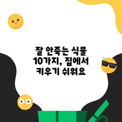 잘 안죽는 식물 10가지, 집에서 키우기 쉬워요