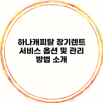 하나캐피탈 장기렌트 서비스 옵션 및 관리 방법 소개