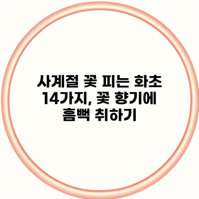 사계절 꽃 피는 화초 14가지, 꽃 향기에 흠뻑 취하기