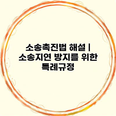 소송촉진법 해설 | 소송지연 방지를 위한 특례규정