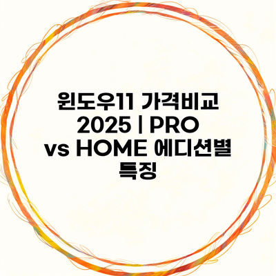 윈도우11 가격비교 2025 | PRO vs HOME 에디션별 특징