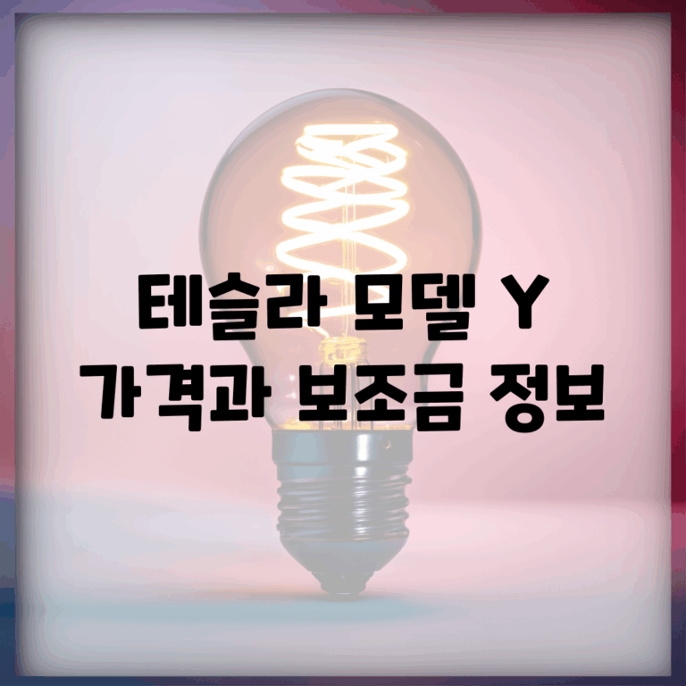 테슬라 모델 Y 가격과 보조금 정보