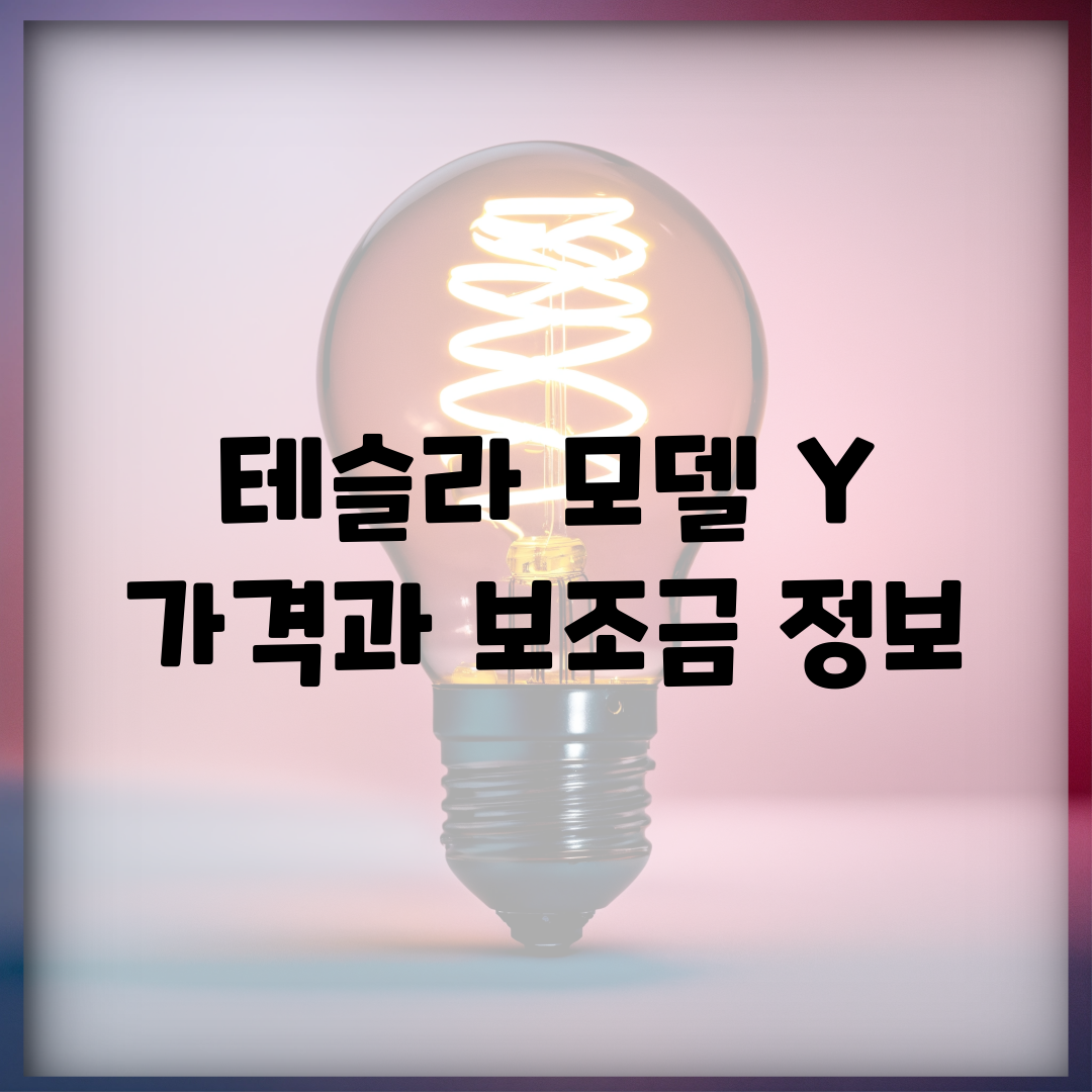테슬라 모델 Y 가격과 보조금 정보