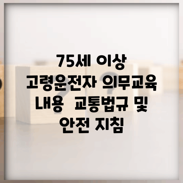 75세 이상 고령운전자 의무교육 내용 | 교통법규 및 안전 지침