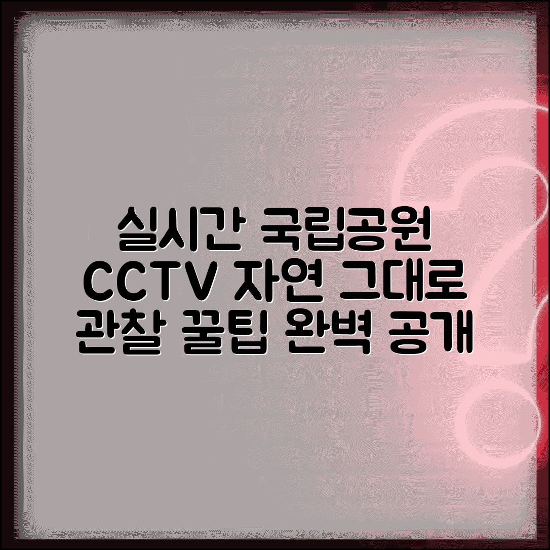 국립공원 실시간 cctv 자연관찰 | 국립공원 실시간 CCTV 완벽 확인법