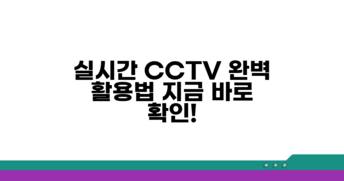 실시간 CCTV 완벽 활용법