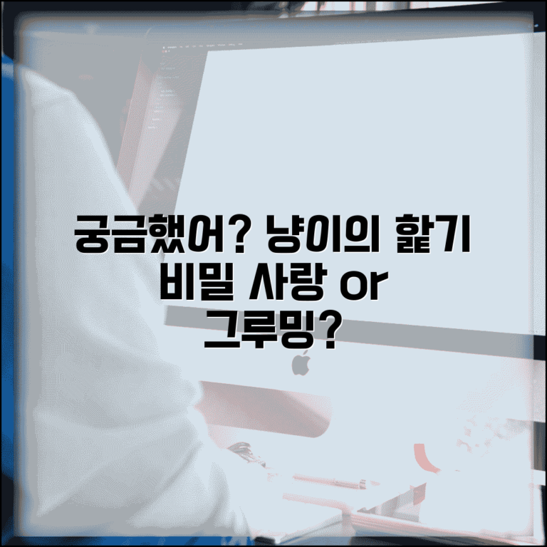 고양이가 머리카락 핥는 이유가 뭔가요 | 고양이핥기 | 그루밍 | 애정