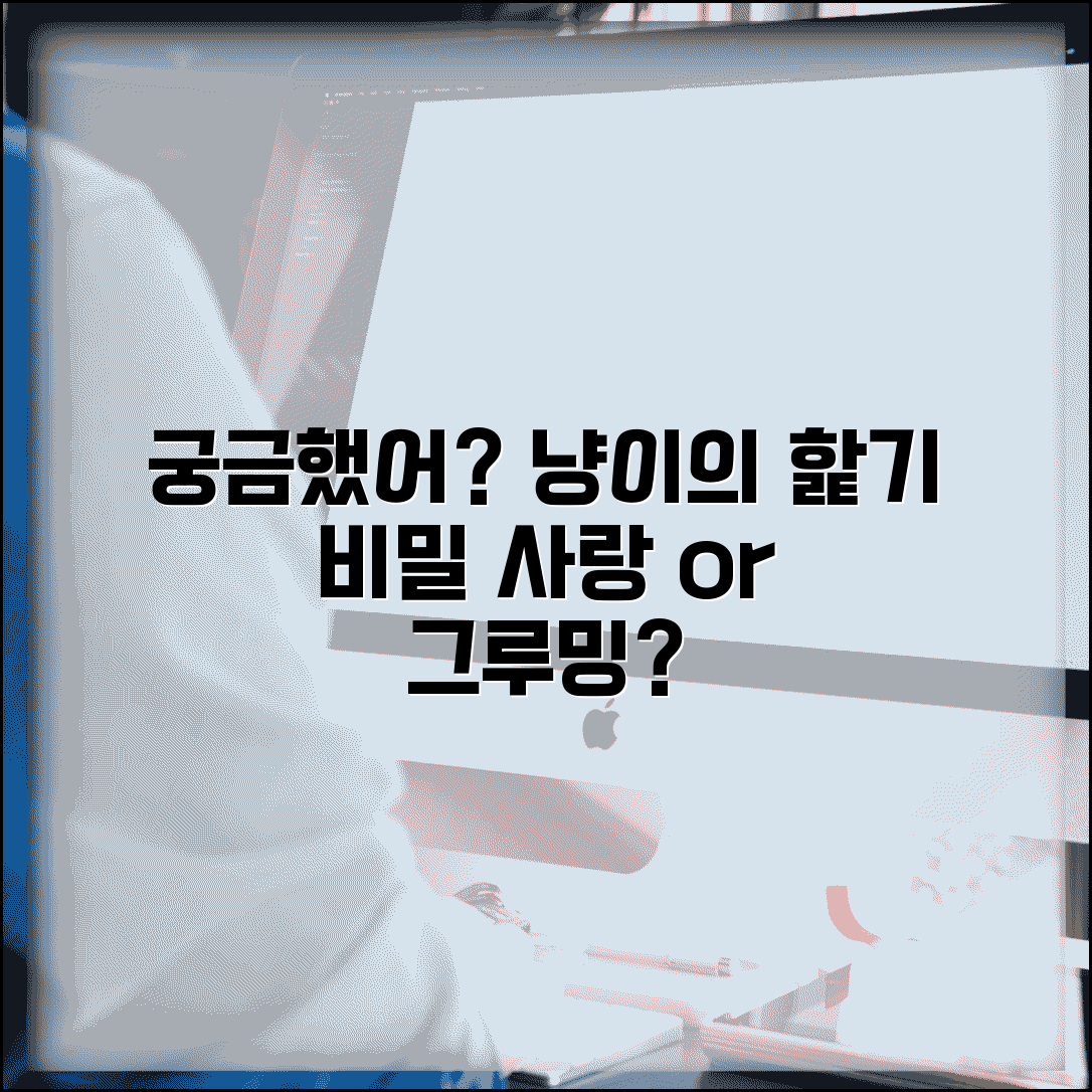 고양이가 머리카락 핥는 이유가 뭔가요 | 고양이핥기 | 그루밍 | 애정