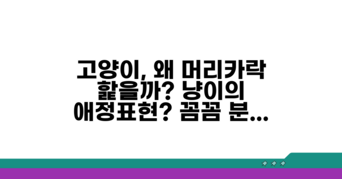 고양이가 머리카락 핥는 이유 분석