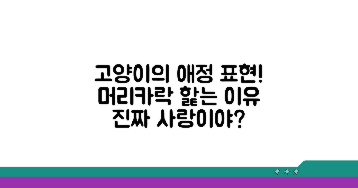 애정 표현, 고양이의 머리카락 핥기