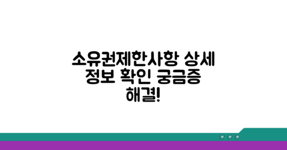 소유권 및 제한사항 상세 조회
