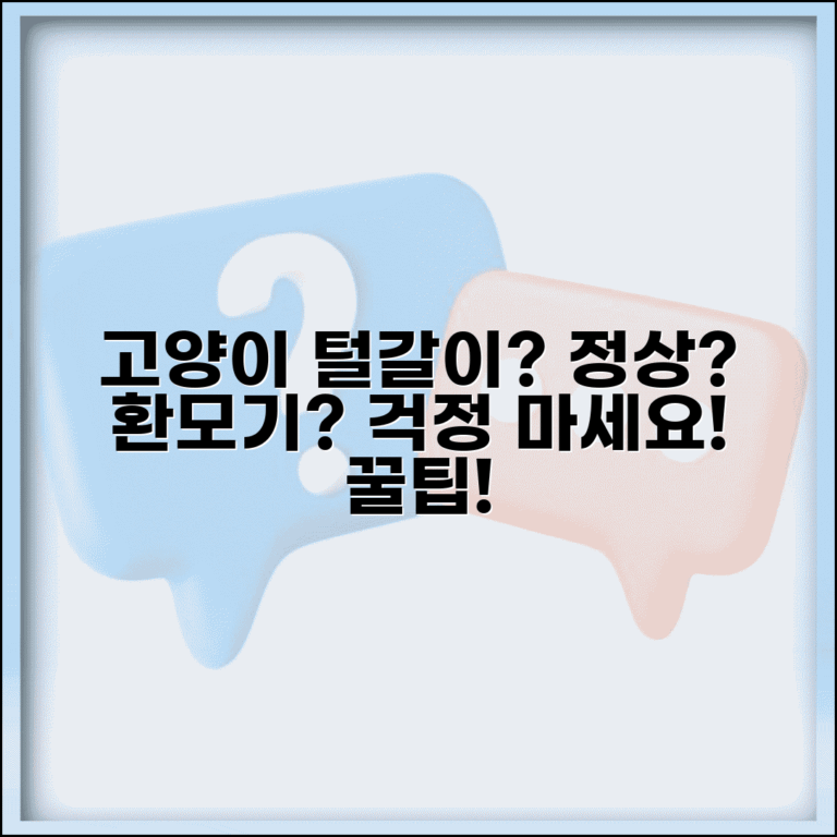 고양이가 털 많이 빠지는데 정상인가요 | 고양이 털빠짐 | 환모기 | 관리법