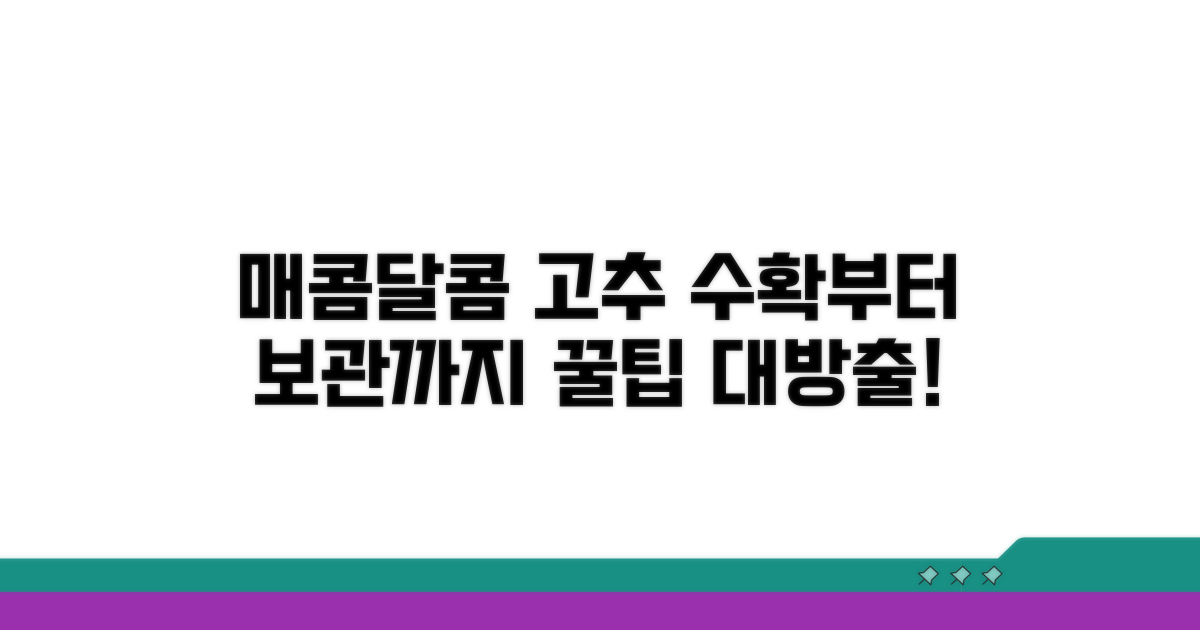 맛있는 고추 수확 및 보관 팁