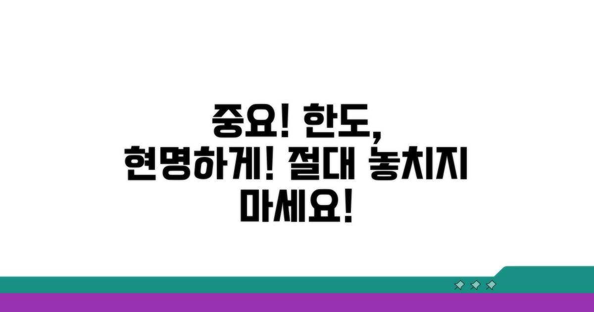 주의사항과 현명한 한도 활용법