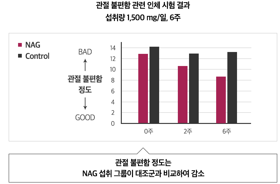 MSM 성분과 관절 연골 건강의 관계