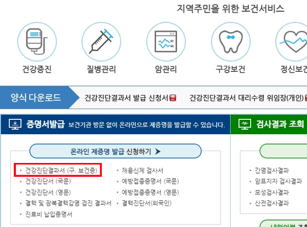 온라인으로 보건증을 발급받아 출력하는 화면