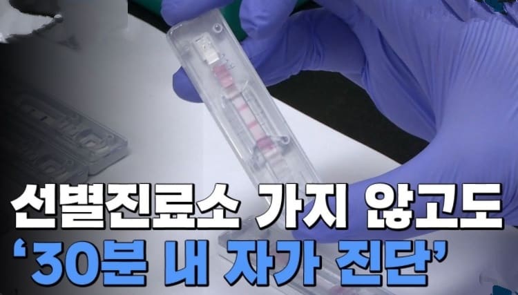 코로나 자가진단키트 정확도 및 사용법, 양성 대처법